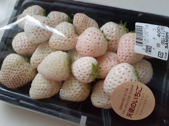 マスク同窓会詰所兼ニューフェイス歓迎所26(笑顔になる場所)