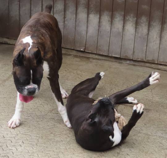 生き物ルーム第45