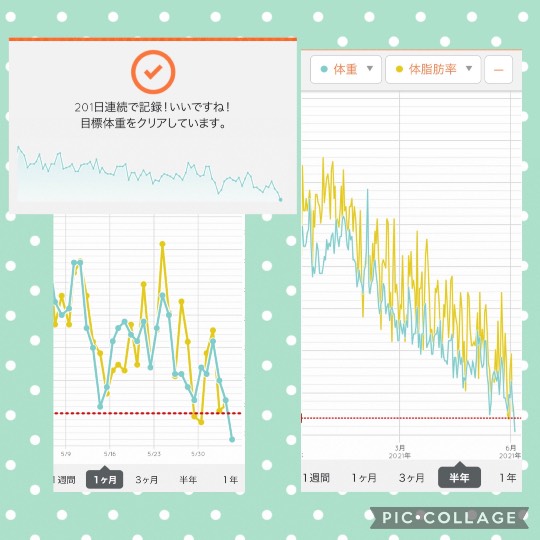 あつまれ‼︎雑談&amp;ゲーム好きの森　season２＃２　ｶｴﾙの歌が聞こえてくるよ〜♪♪