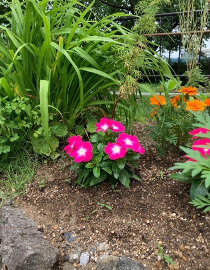 雑談お絵描き部❾　画像関係よろず