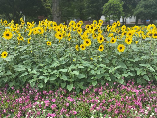 ◆(12)関西版 雑談◆〜関西以外の方も話の輪にどうぞ♪