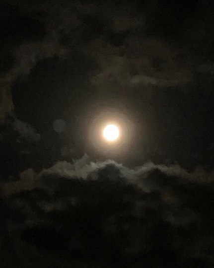 ★ドンキ♡♡ロピア 雑談37★