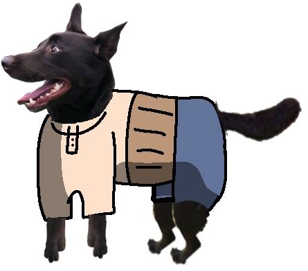 生き物ルーム第45