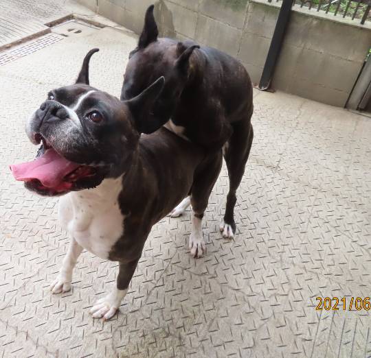 生き物ルーム第45