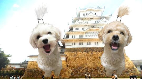 生き物ルーム第45