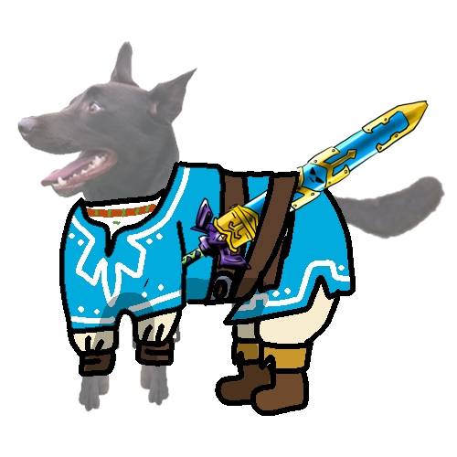 生き物ルーム第45