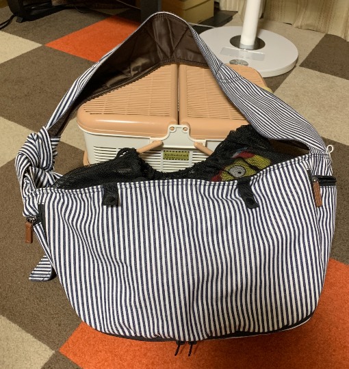 生き物ルーム第45