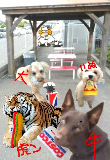 生き物ルーム第45