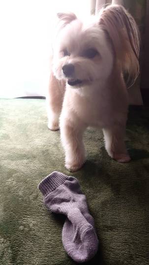 生き物ルーム第44