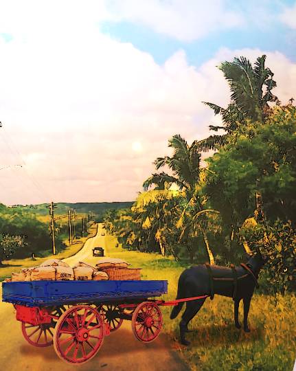 雑談お絵描き部❾　画像関係よろず