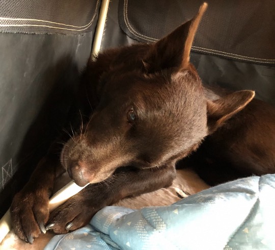 生き物ルーム第45