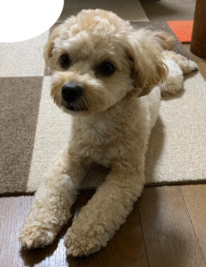 生き物ルーム第44