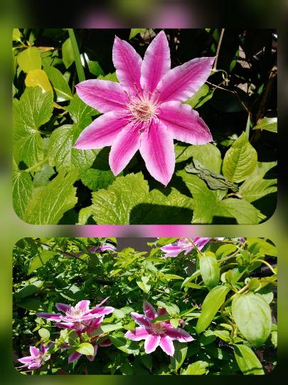 ★ドンキ♡♡ロピア 雑談34★