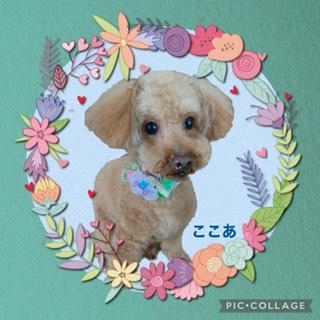 生き物ルーム第44