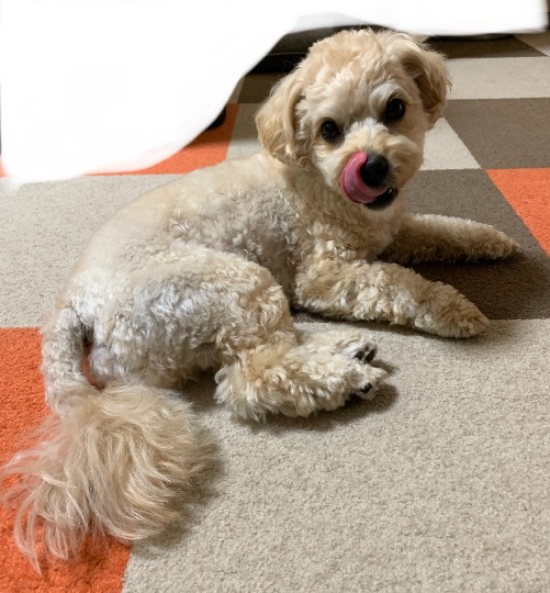 生き物ルーム第44