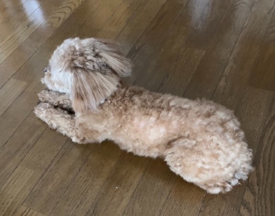 生き物ルーム第44