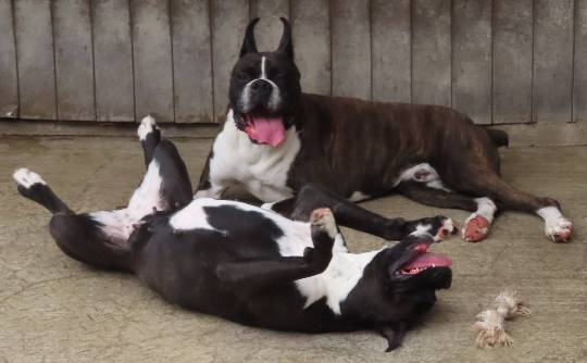 生き物ルーム第45