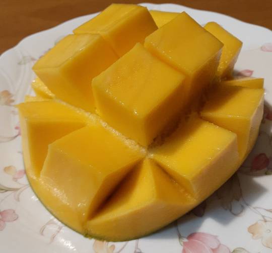 ◆(12)関西版 雑談◆〜関西以外の方も話の輪にどうぞ♪