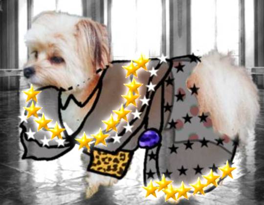 生き物ルーム第45