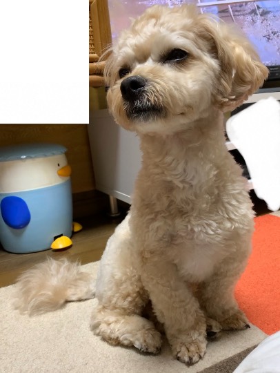 生き物ルーム第45