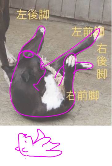 生き物ルーム第45