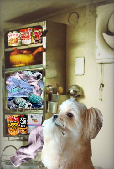 生き物ルーム第44