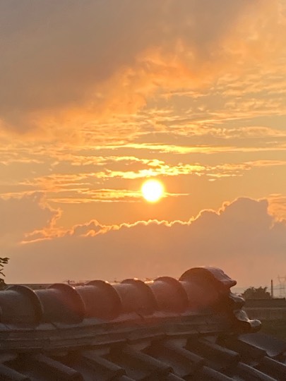 マスク同窓会詰所兼ニューフェイス歓迎所26(笑顔になる場所)