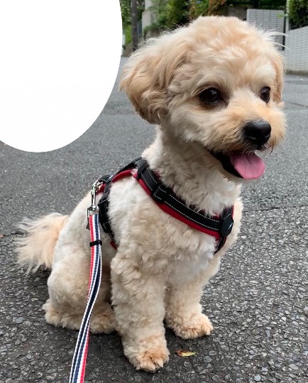 生き物ルーム第44