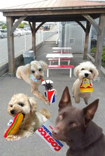 生き物ルーム第45