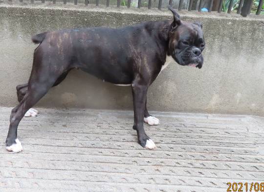 生き物ルーム第45