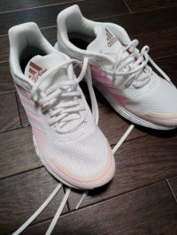 6月18日(金曜日)　広島倉庫店｜本日初めてみたもの
オキシクリーン　イ...