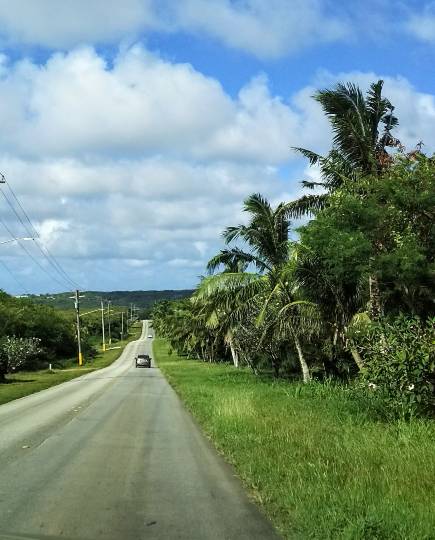 雑談お絵描き部❾　画像関係よろず