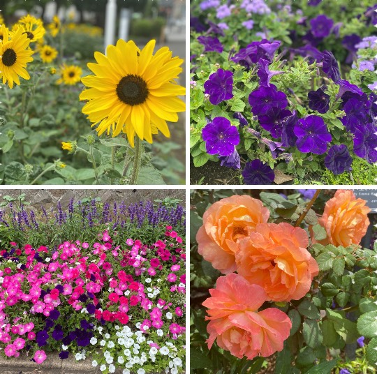 ◆(12)関西版 雑談◆〜関西以外の方も話の輪にどうぞ♪