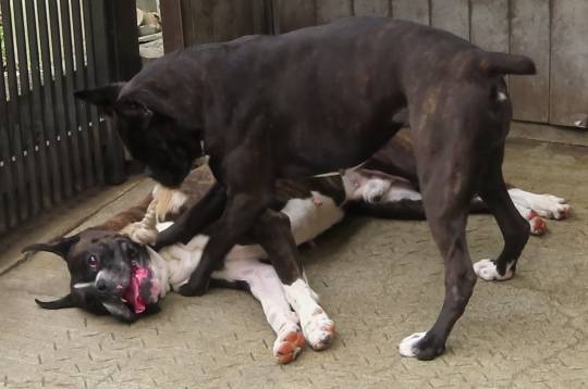 生き物ルーム第45