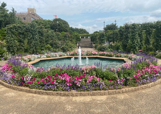 ★ドンキ♡♡ロピア 雑談37★