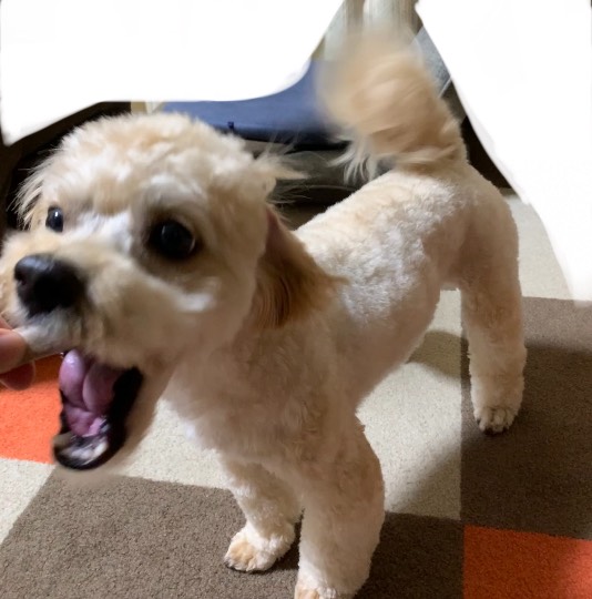 生き物ルーム第45