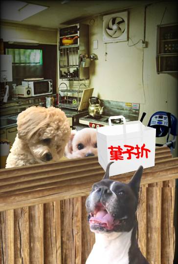 生き物ルーム第44