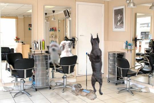 生き物ルーム第44