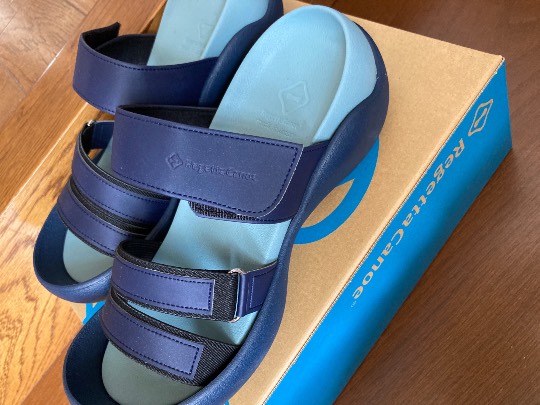 6月23日(水曜日) 和泉倉庫店|おはようございます♪
KSのでっか...