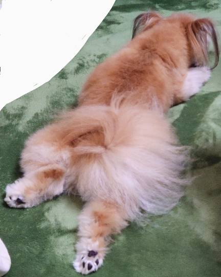 生き物ルーム第45