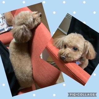 生き物ルーム第44