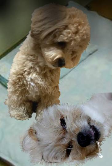 生き物ルーム第45