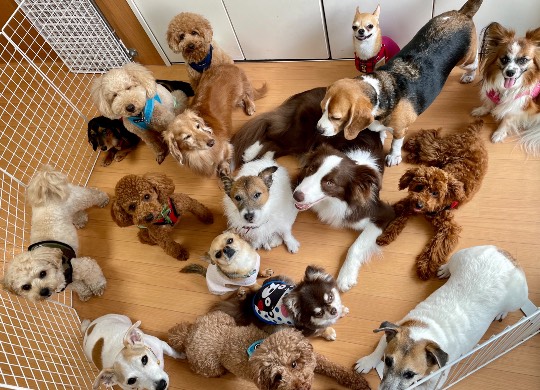 生き物ルーム第45