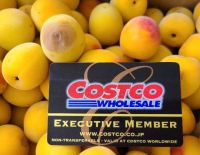 6月21日(月曜日)　中部空港倉庫店｜昨日Brown電気シェーバーシリーズ5 ...