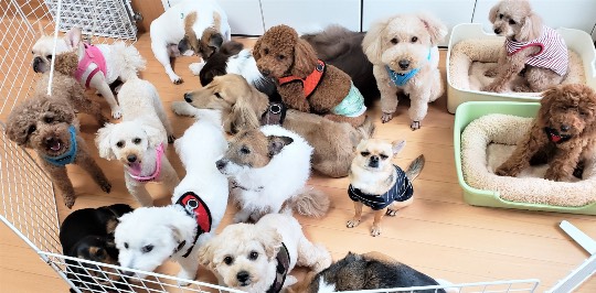 生き物ルーム第44