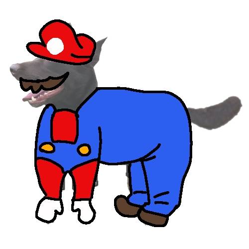 生き物ルーム第45