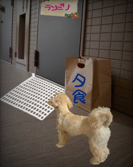 生き物ルーム第44