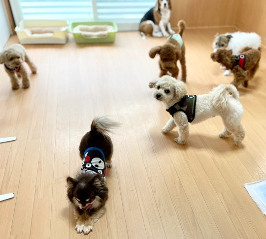 生き物ルーム第44