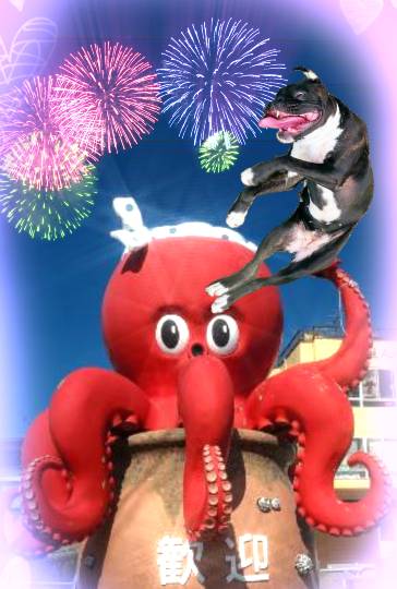 生き物ルーム第45