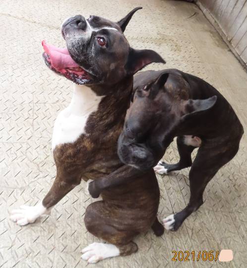 生き物ルーム第45